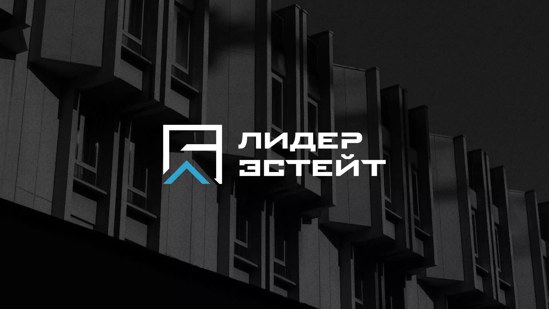 Разработка логотипа агентства недвижимости «Лидер Эстейт» в Углегорске